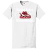 Authentic 100% Cotton T Shirt with Pocket Thumbnail